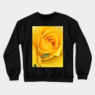 Lost in Yellow Crewneck Sweatshirt